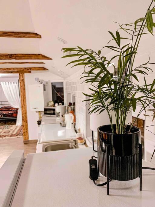 Apartmán Yard Studio Rasnov Exteriér fotografie